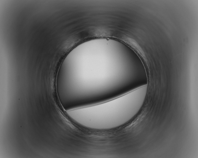 X0000088440441200705220918