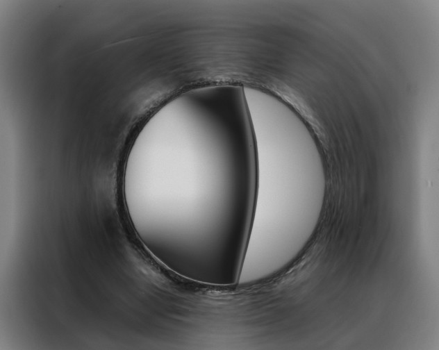 X0000088440442200705220918