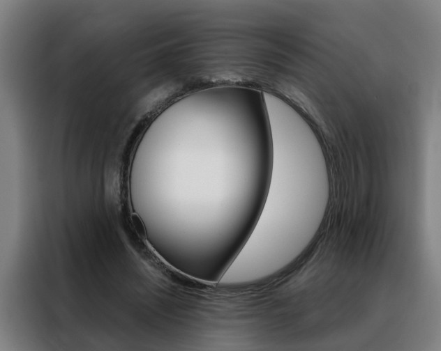 X0000088440444200705220918