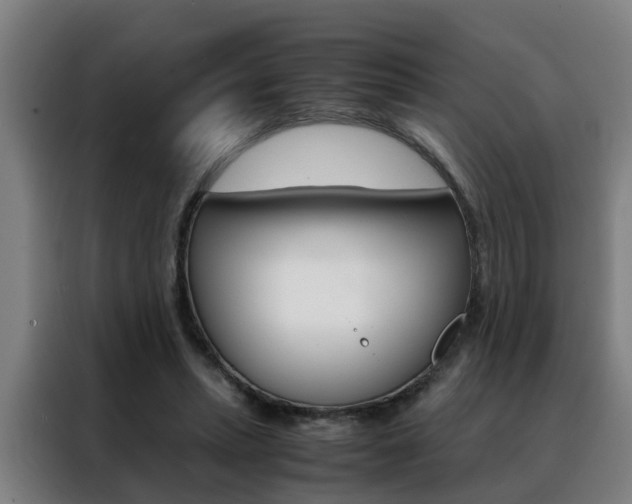 X0000088440447200705220918