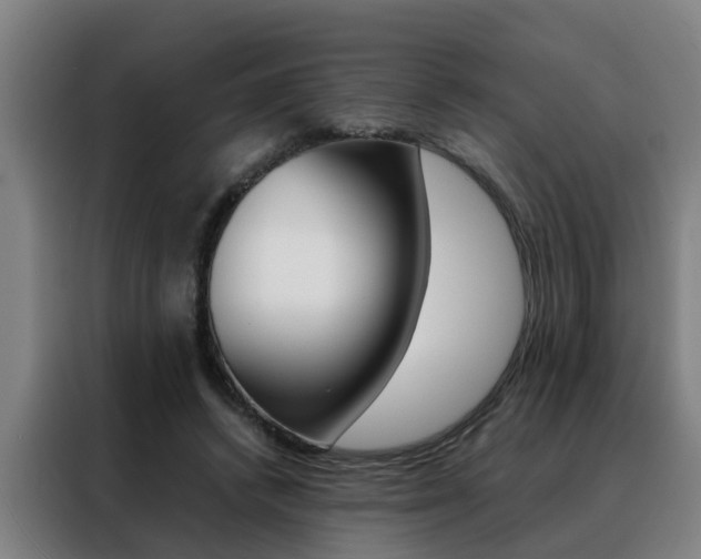 X0000088440448200705220918