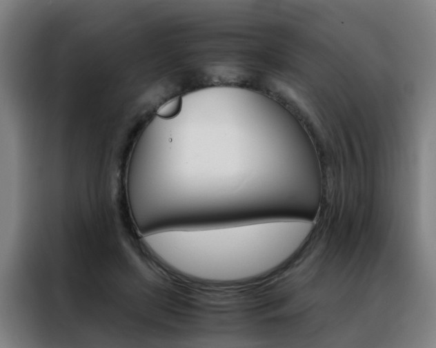 X0000088440451200705220918