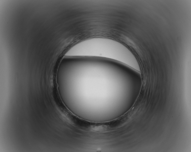 X0000088440452200705220918