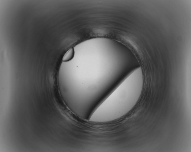 X0000088440455200705220918