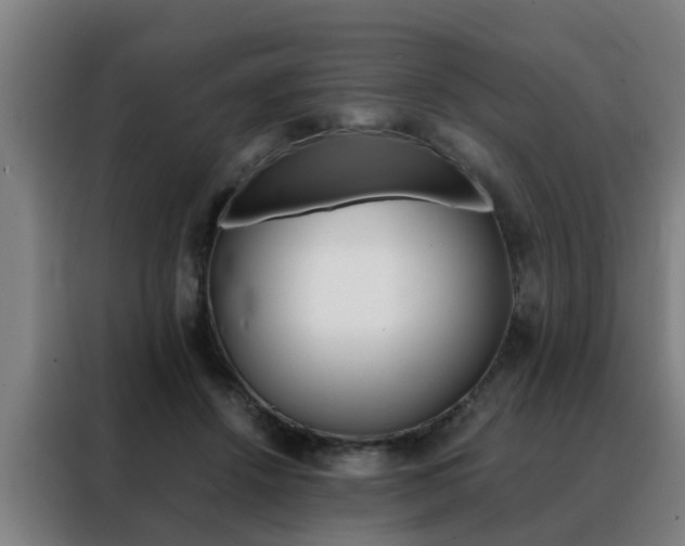 X0000088440456200705220918