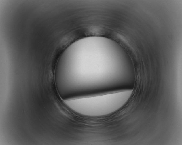 X0000088440459200705220918