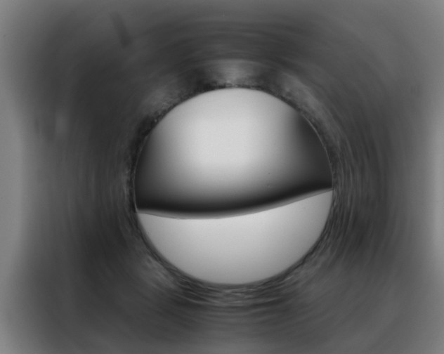 X0000088440461200705220918