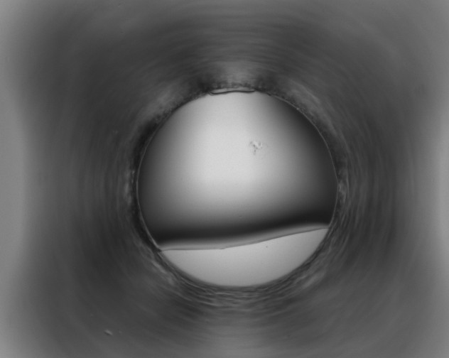 X0000088440462200705220918