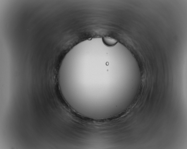 X0000088440464200705220918
