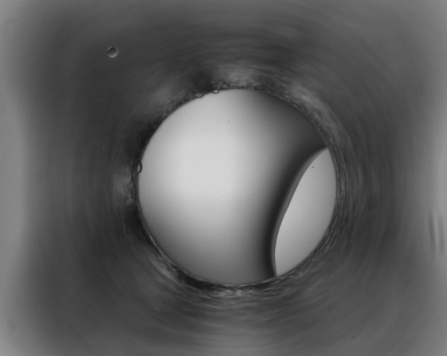 X0000088440465200705220918