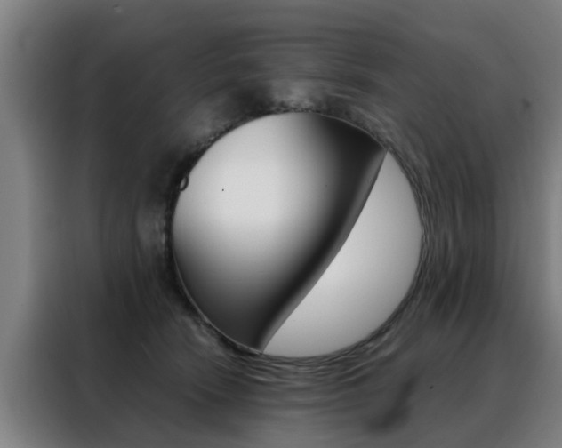 X0000088440466200705220918