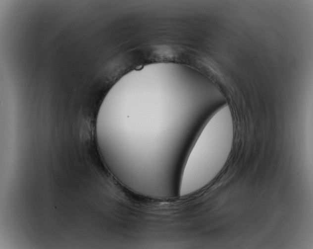 X0000088440467200705220918