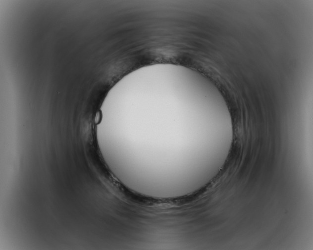X0000088440468200705220918