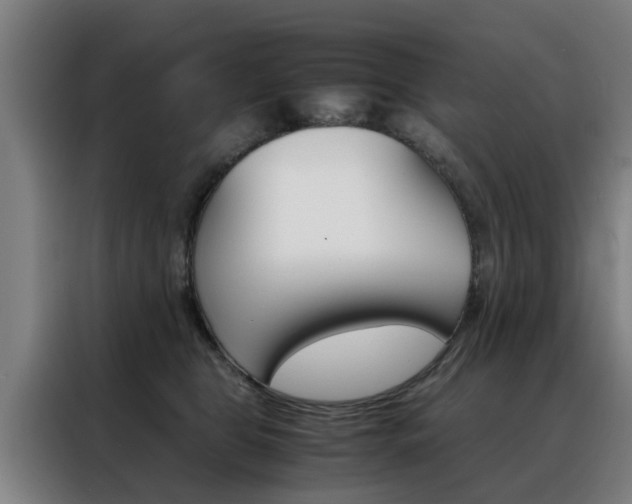 X0000088440469200705220918