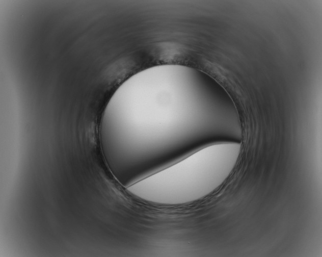 X0000088440470200705220918