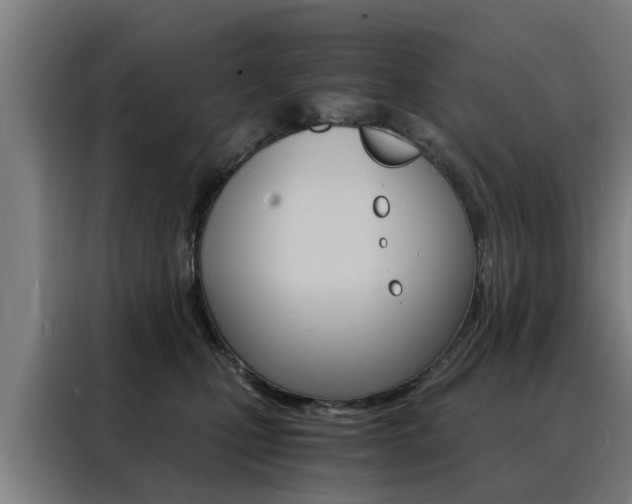 X0000088440471200705220918