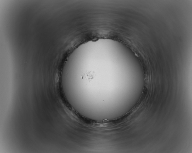 X0000088440472200705220918