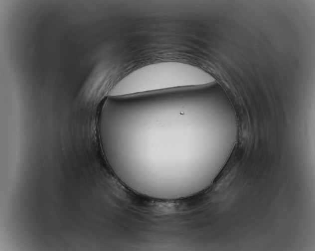X0000088440473200705220918