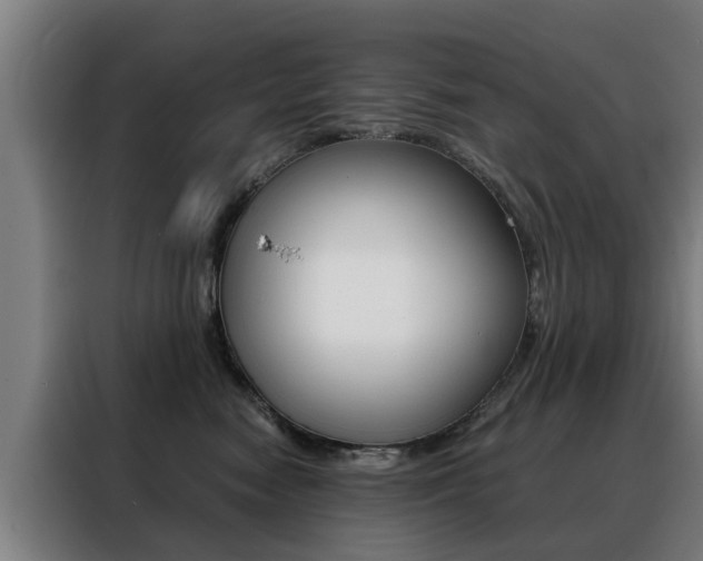 X0000088440474200705220918