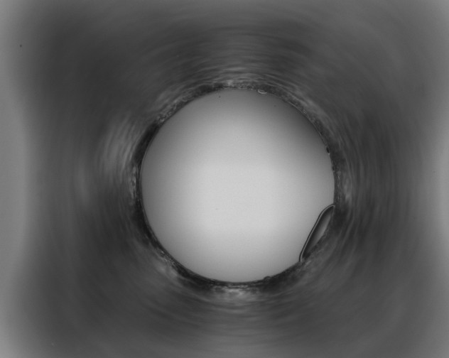 X0000088440475200705220918