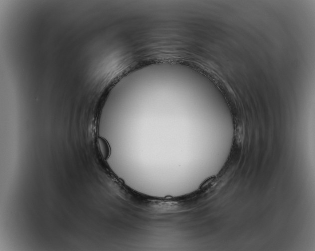 X0000088440476200705220918