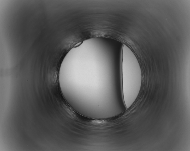X0000088440477200705220918