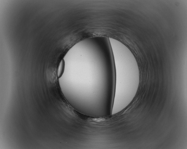 X0000088440478200705220918