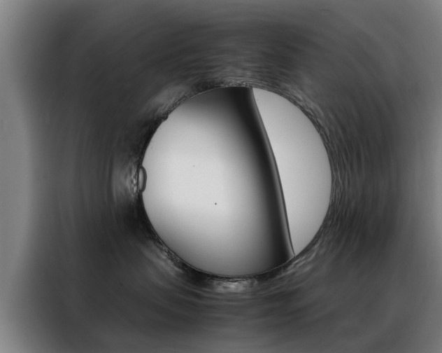 X0000088440479200705220918