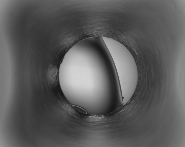 X0000088440480200705220918