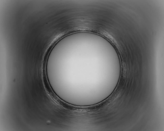 X0000088440482200705220918