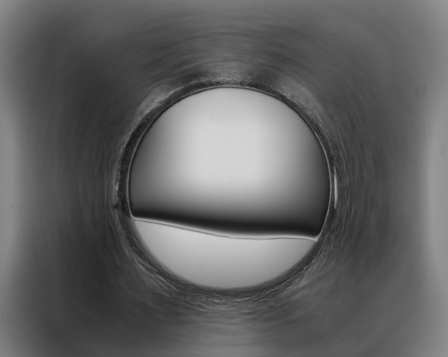 X0000088440483200705220918