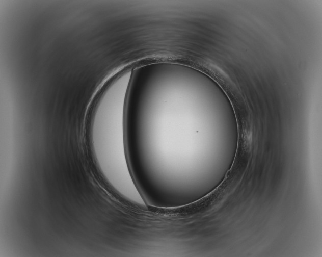 X0000088440484200705220918