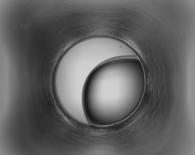 X0000088440485200705220918