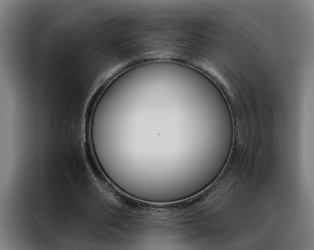 X0000088440486200705220918