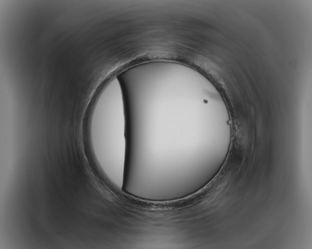 X0000088440487200705220918