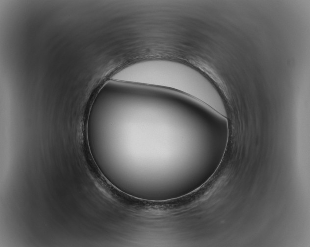 X0000088440489200705220918