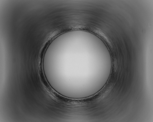 X0000088440490200705220918