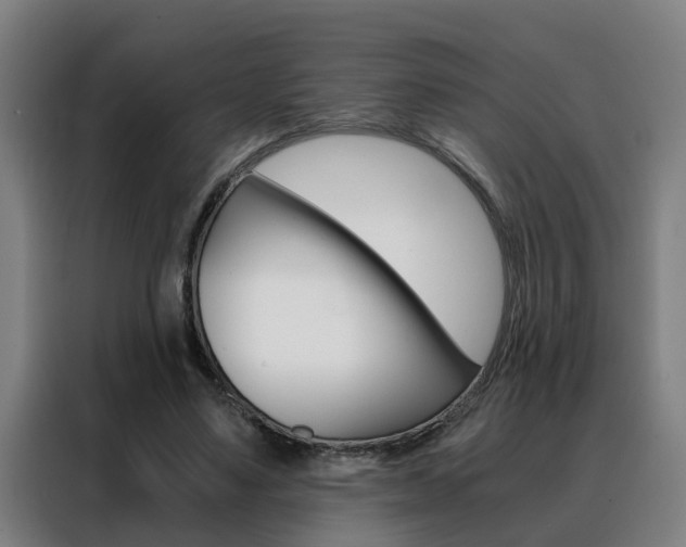 X0000088440491200705220918