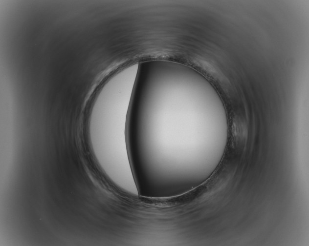 X0000088440492200705220918
