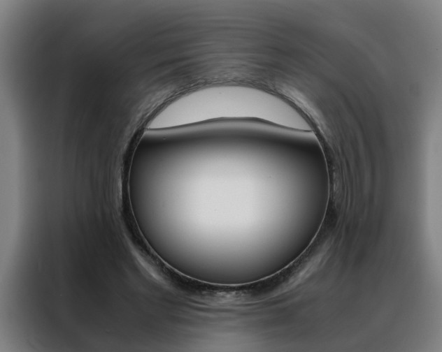 X0000088440493200705220917
