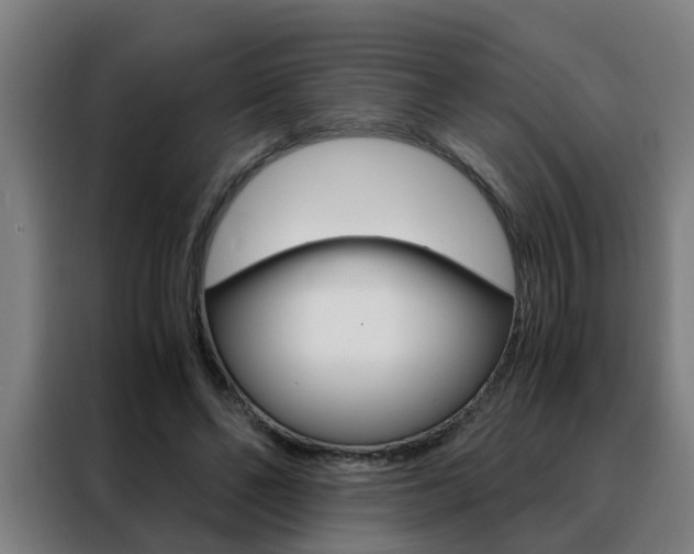 X0000088440494200705220917