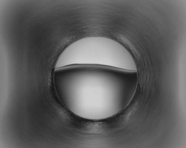 X0000088440497200705220917
