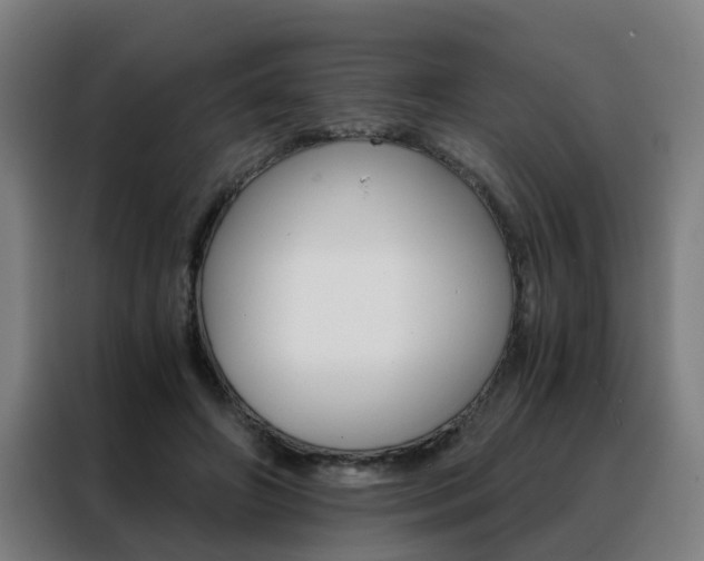 X0000088440498200705220917