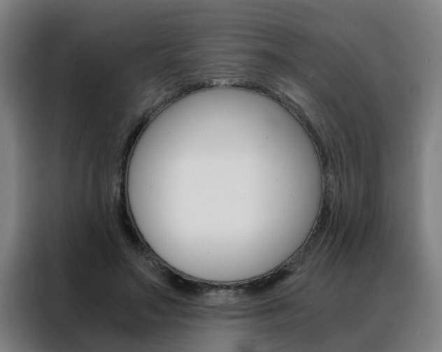 X0000088440499200705220917