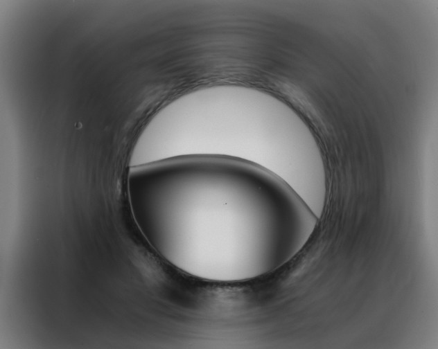 X0000088440501200705220917