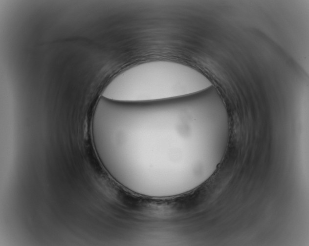 X0000088440502200705220917