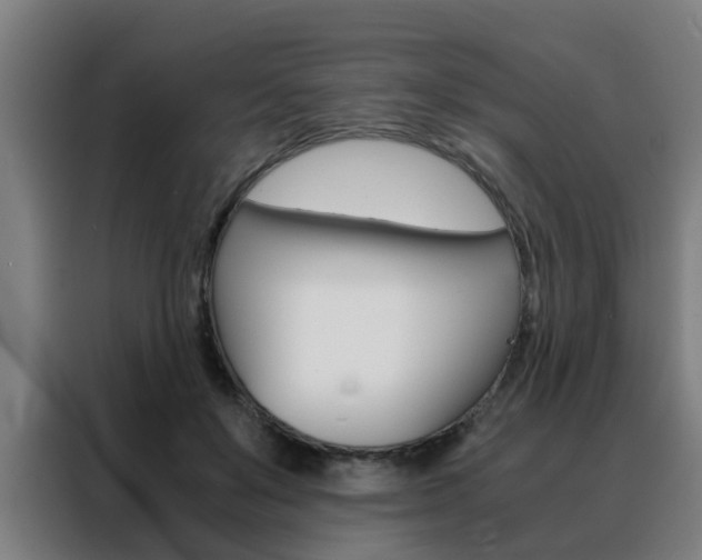 X0000088440503200705220917