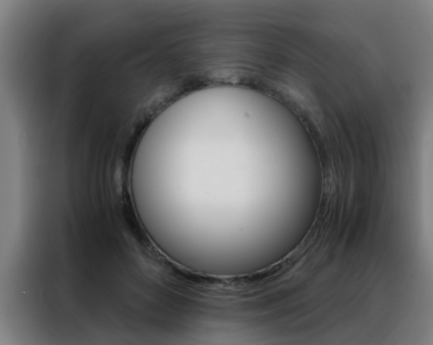 X0000088440504200705220917