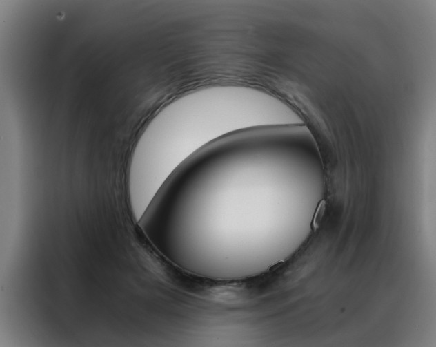 X0000088440505200705220917