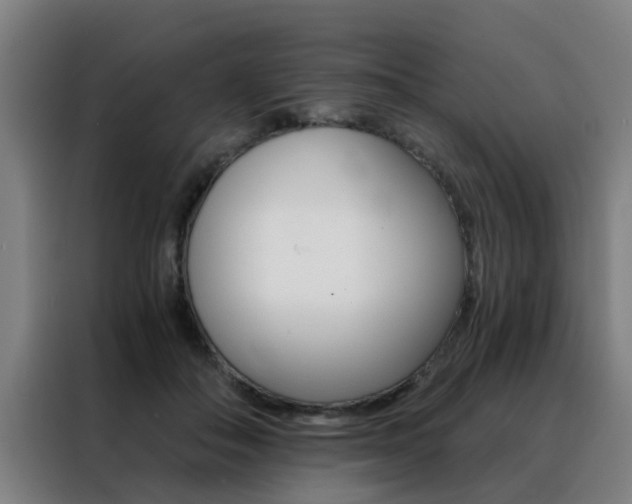 X0000088440506200705220917